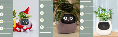 Smart Planter – Endless Fun with 49+ Expressions, 7 Smart Sensors, AI Chip, Self-Watering Pot for Plants