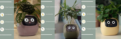 Smart Planter – Endless Fun with 49+ Expressions, 7 Smart Sensors, AI Chip, Self-Watering Pot for Plants