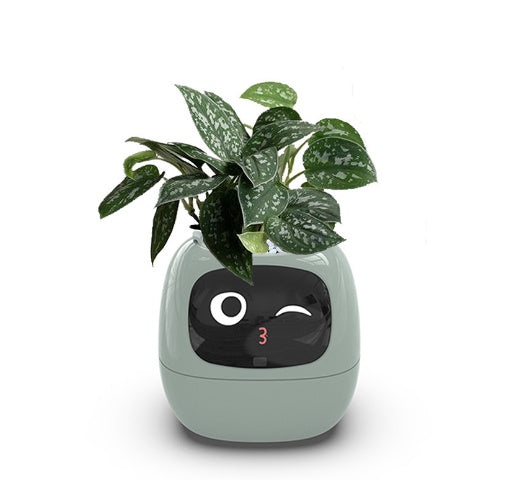 Smart Planter – Endless Fun with 49+ Expressions, 7 Smart Sensors, AI Chip, Self-Watering Pot for Plants